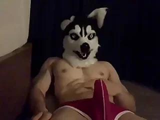 Hard Gay XXX Videos 0